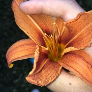 Meet your Posher, Hannah